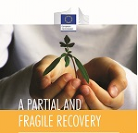 Annual Report on European SMEs Annual Report on European SMEs