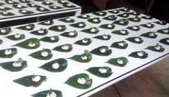 8-9-2014 Συμμετοχή στελεχών του ΚΕΠΑ στο συνέδριο "International Conference on Future Design" στις 03/09/2014 στη Δανία 