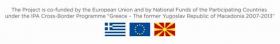 Call for Tenders (open procedure) for "Preparation and pilot operation of the Business Development Services Centers” in the framework of the project “INVEST IN PEOPLE OF THE CROSS-BORDER AREA” with the acronym “MICROSTARS”