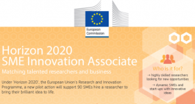 H2020 SME Innovation Associate